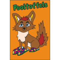 IJVO tshirt Orange met opdruk Pooltoffels