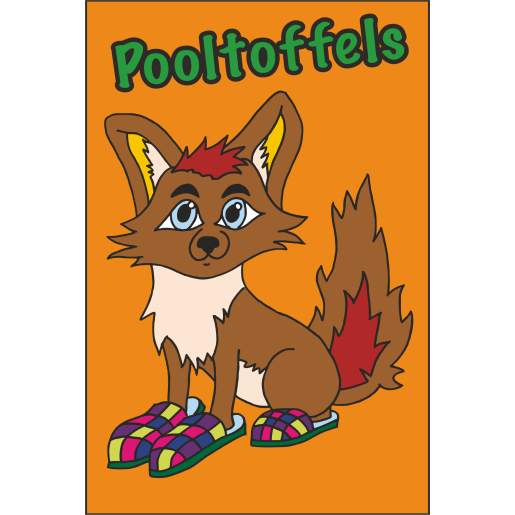 IJVO tshirt Orange met opdruk Pooltoffels IJVO tshirt Orange met opdruk Pooltoffels